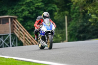 anglesey;brands-hatch;cadwell-park;croft;donington-park;enduro-digital-images;event-digital-images;eventdigitalimages;mallory;no-limits;oulton-park;peter-wileman-photography;racing-digital-images;silverstone;snetterton;trackday-digital-images;trackday-photos;vmcc-banbury-run;welsh-2-day-enduro